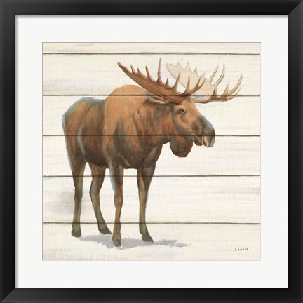 Framed Northern Wild VI Print