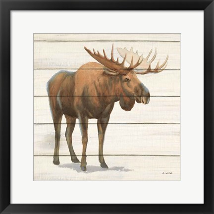 Framed Northern Wild VI Print