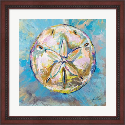 Framed Sand Dollar Print