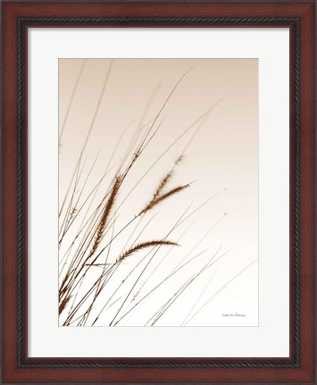 Framed Field Grasses I Sepia Print