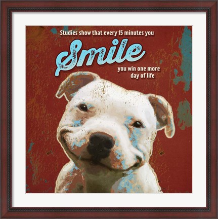 Framed Pet Sentiment I-Smile Print