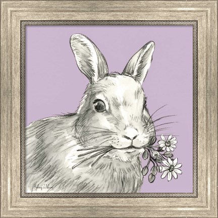 Framed Rabbit Print