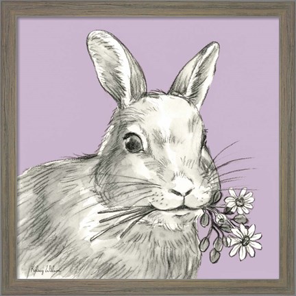 Framed Rabbit Print