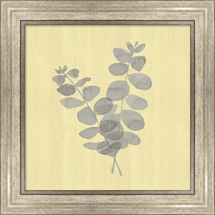 Framed Natural Inspiration Eucalyptus Gray &amp; Yellow I Print