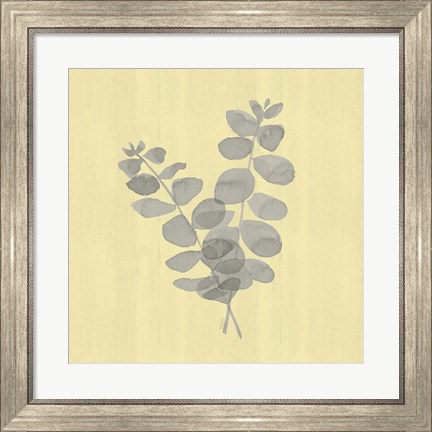 Framed Natural Inspiration Eucalyptus Gray &amp; Yellow I Print