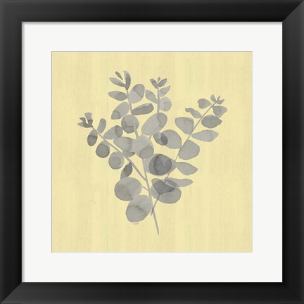 Framed Natural Inspiration Eucalyptus Gray &amp; Yellow II Print