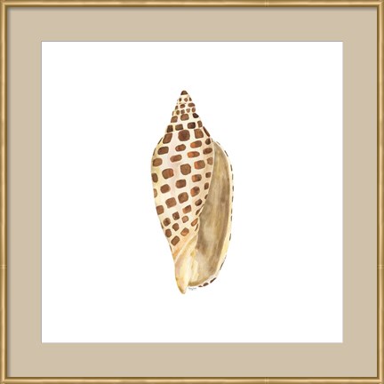 Framed Oceanum Shells White II-Junonia Print