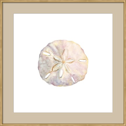 Framed Oceanum Shells White IV-Sand Dollar Print