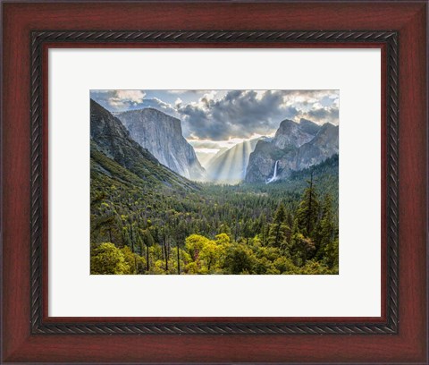 Framed Tunnel View Sun Rays Print