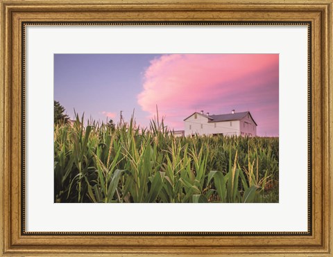 Framed Corn Crop Print