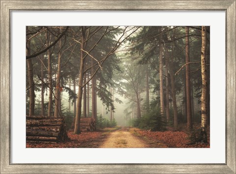 Framed Harvesting Time Print