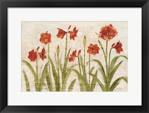 Framed Row of Red Amaryllis Light Print