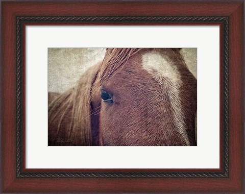 Framed Dew Lashes Print