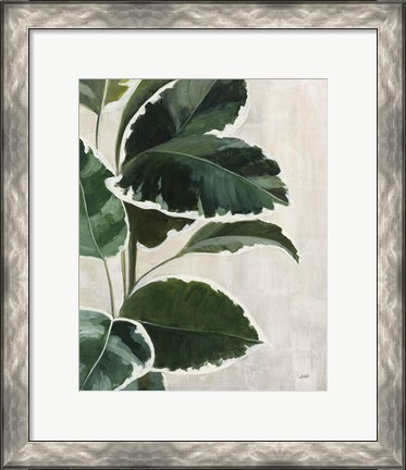 Framed Tropical Study I Print