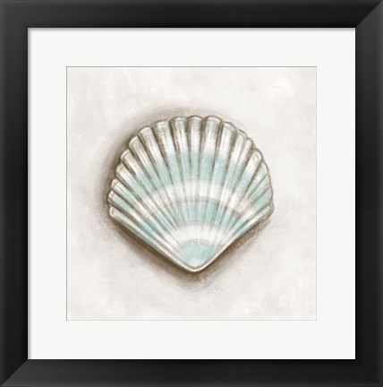 Framed Shell III Print