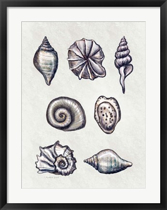 Framed Shells I Print