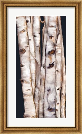 Framed Birch Tree III Print