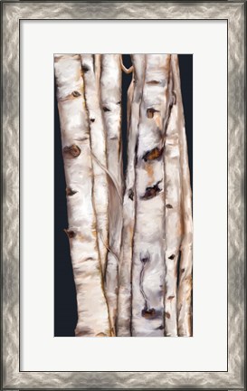 Framed Birch Tree III Print