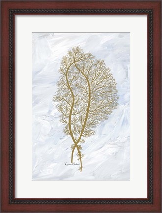 Framed Feathery Sea Fern II Print