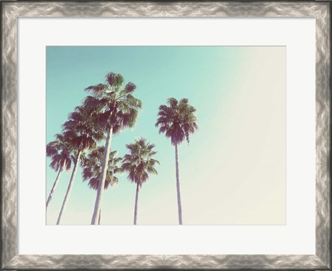 Framed Palms Against The Evening Sky Print