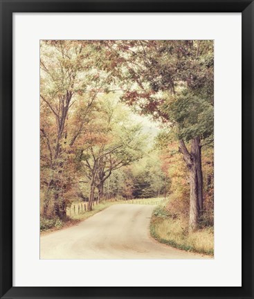 Framed Along The Path Print