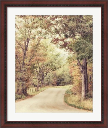 Framed Along The Path Print