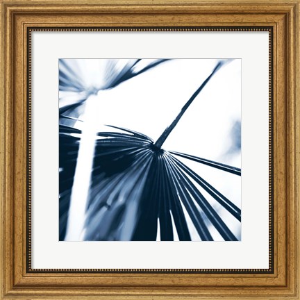 Framed Among Blue Palms II Print