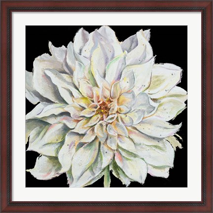 Framed Dahlia On Black Print