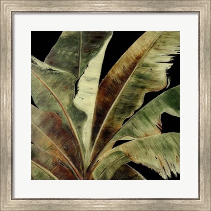 Framed Uraba Palm on Black I Print