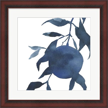 Framed Indigo Oranges I Print