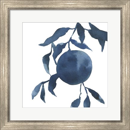 Framed Indigo Oranges IV Print