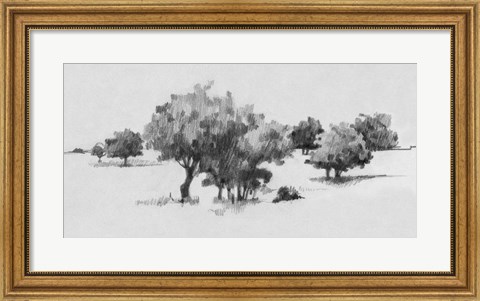 Framed Treeline Sketch II Print