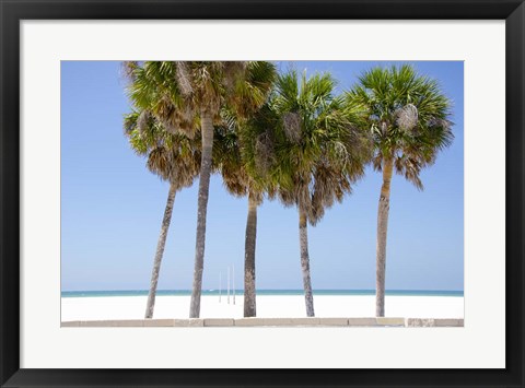 Framed Coastal Palms I Print