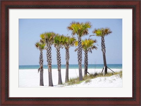 Framed Coastal Palms II Print