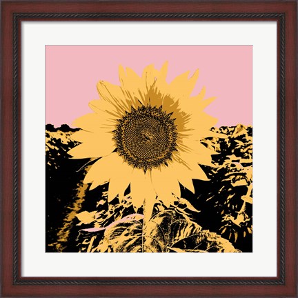 Framed Pop Art Sunflower III Print