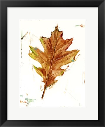 Framed Autumn Leaf Study II Print