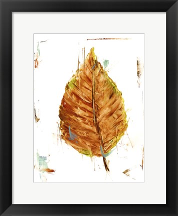 Framed Autumn Leaf Study III Print