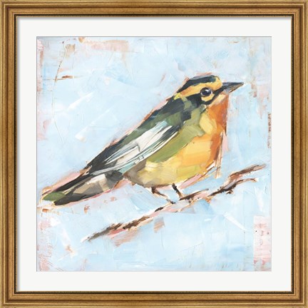 Framed Bird Variety IV Print