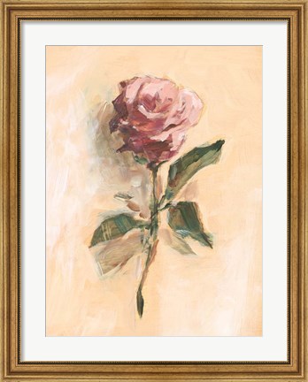 Framed Painterly Rose Study II Print