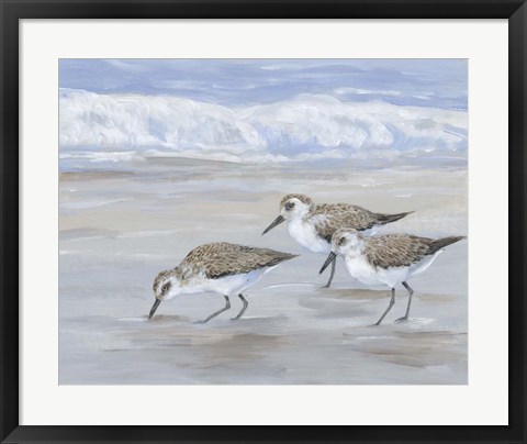 Framed Sandpipers II Print