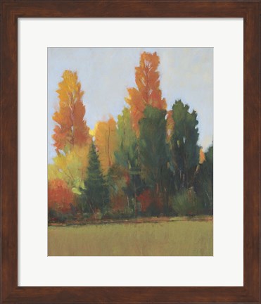 Framed Fall Colors I Print