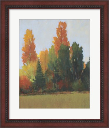 Framed Fall Colors I Print