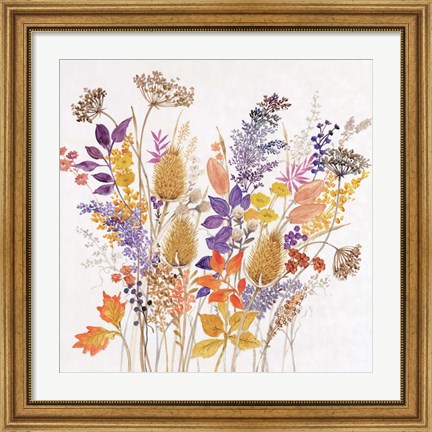 Framed Dried Arrangement II Print