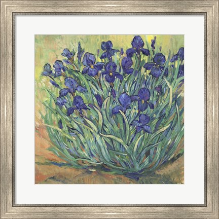 Framed Irises in Bloom I Print