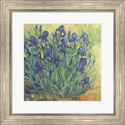 Framed Irises in Bloom II Print