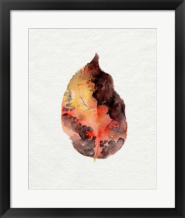 Framed Watercolor Autumn Leaf I Print