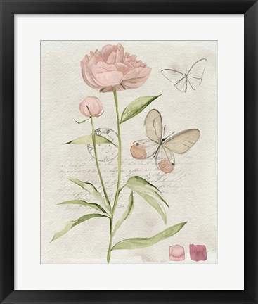 Framed Field Notes Florals II Print