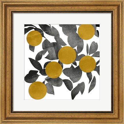 Framed Shadow Branch IV Print