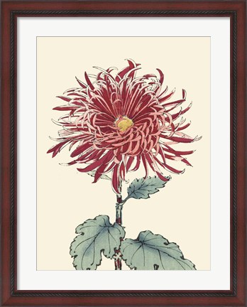 Framed Chrysanthemum Woodblock I Print