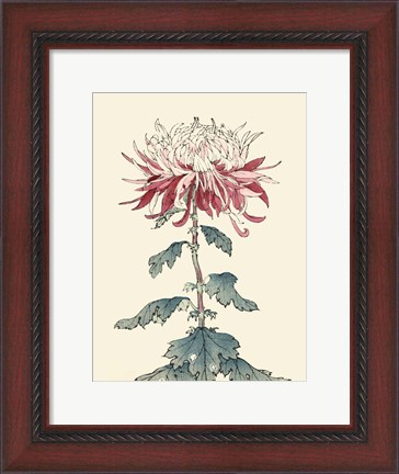 Framed Chrysanthemum Woodblock III Print